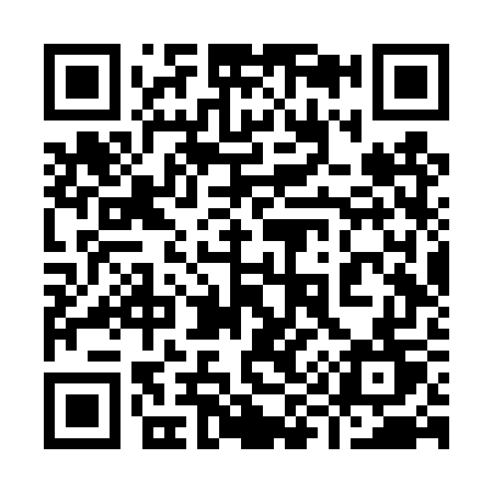 QR code for 996TWT