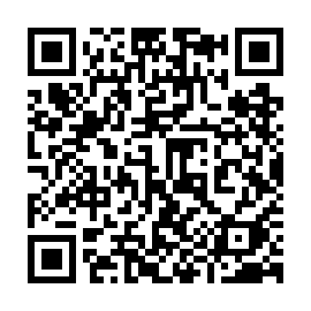 QR code for 996WAI