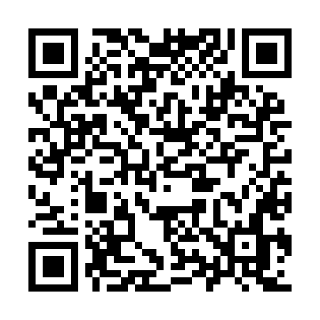 QR code for 996YLN