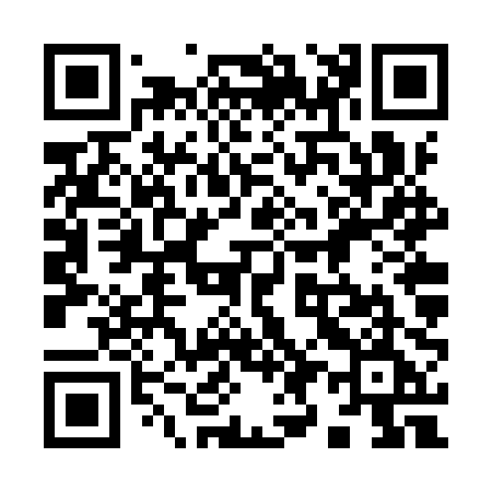 QR code for 996YPE