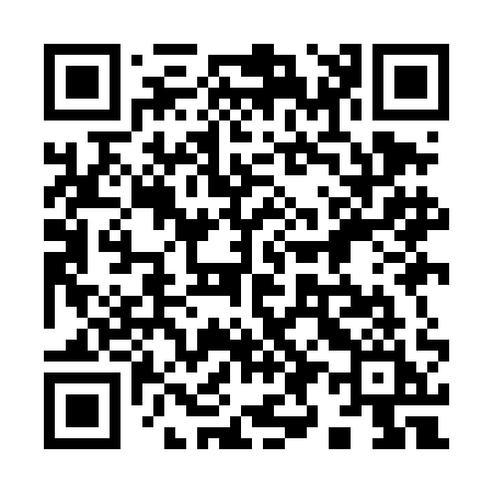 QR code for 999DAI