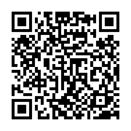 QR code for 999TSS