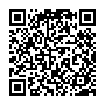 QR code for 036PIO