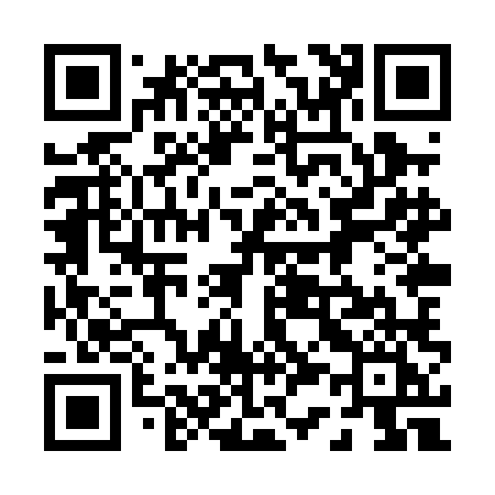 QR code for 038PLI