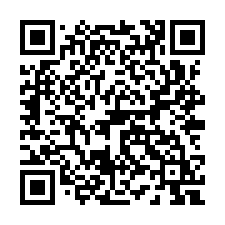 QR code for 038YSZ