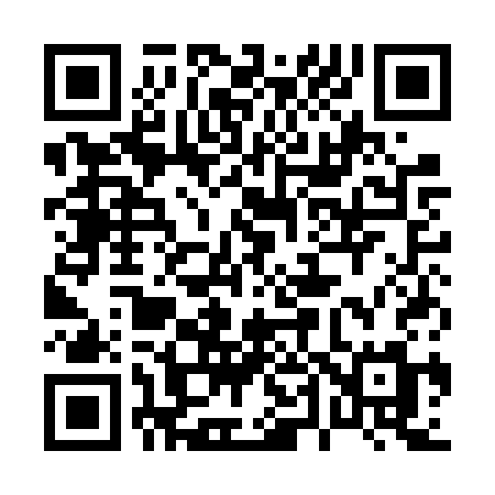 QR code for 041FSM