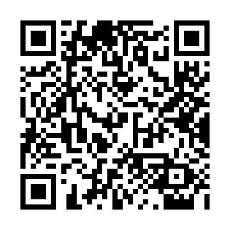 QR code for 095WIZ