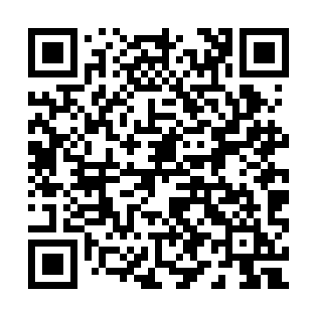 QR code for 096BII
