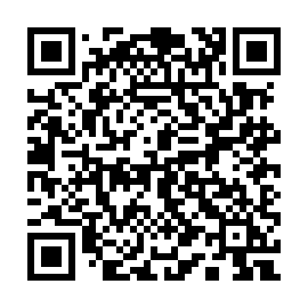 QR code for 110MHI