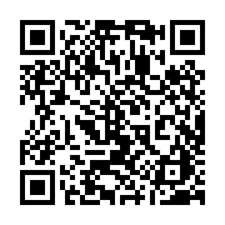 QR code for 110PZC
