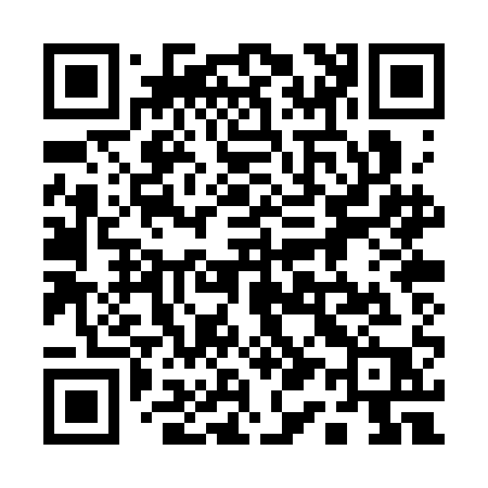 QR code for 110SAP