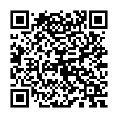 QR code for 113UZT