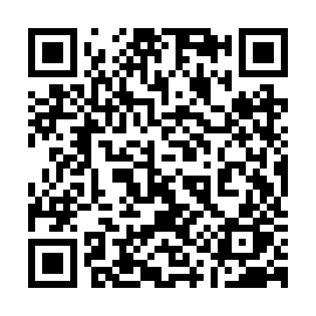 QR code for 119BZP