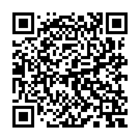QR code for 119ILX