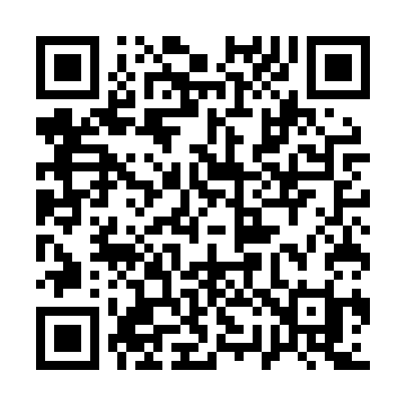 QR code for 125LSI