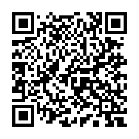 QR code for 133DLI