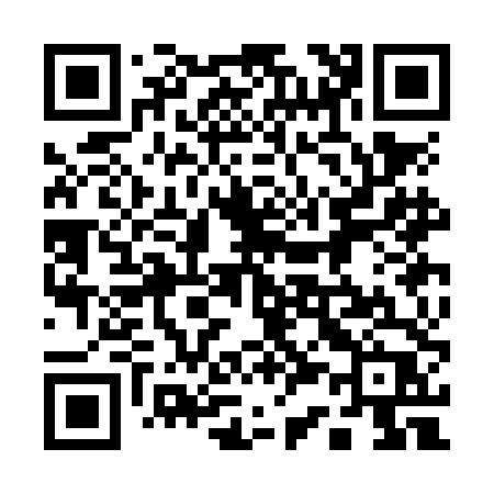 QR code for 133NDP