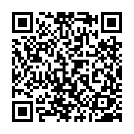 QR code for 133SDX