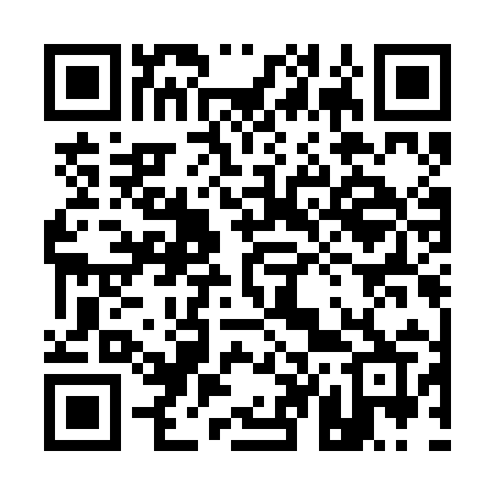 QR code for 141BIR