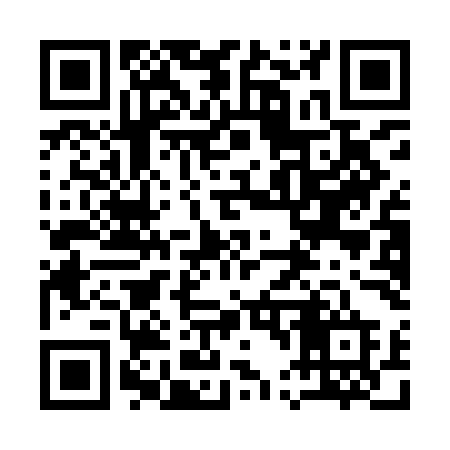 QR code for 141IMD