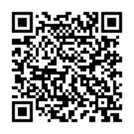 QR code for 141MIS