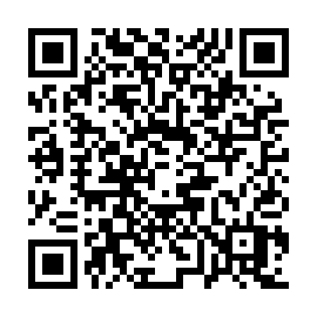 QR code for 161LAT