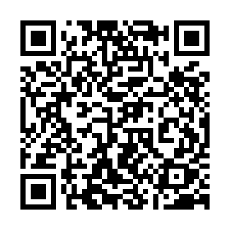 QR code for 161MEX