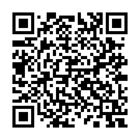 QR code for 161PIQ