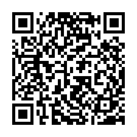 QR code for 161QIS