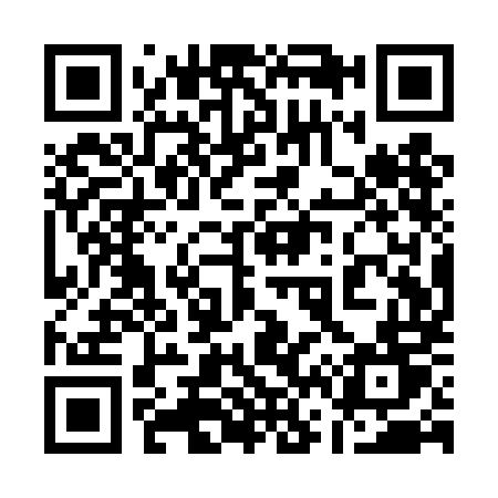 QR code for 161TMT