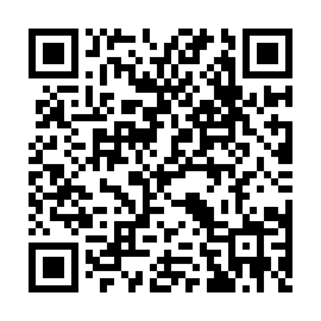 QR code for 161YIZ
