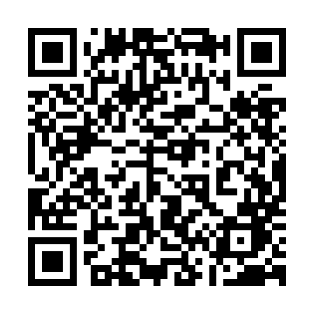 QR code for 161ZMB