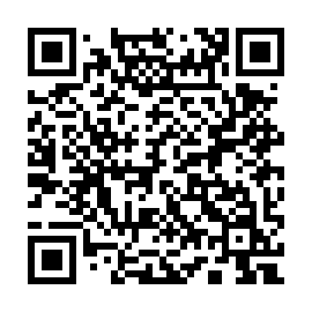 QR code for 173DYN