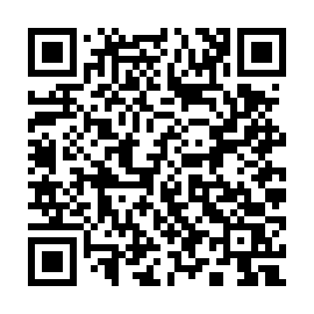 QR code for 196DVS