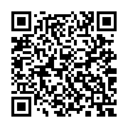 QR code for 196PIK