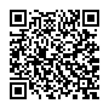 QR code for 196PMS