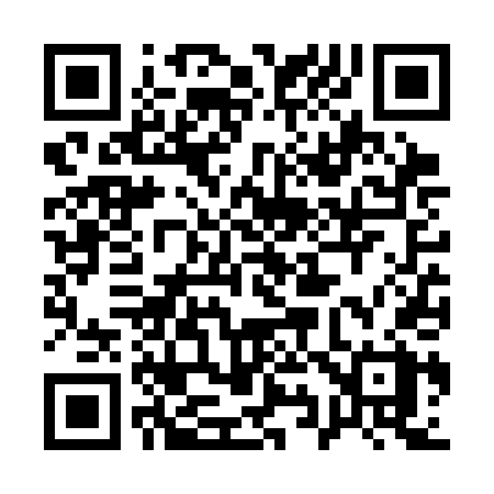 QR code for 196SDX