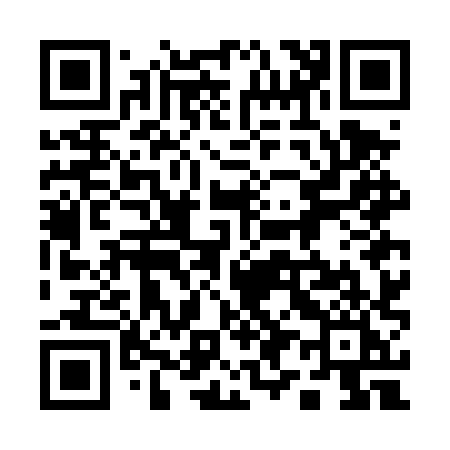 QR code for 197DXI