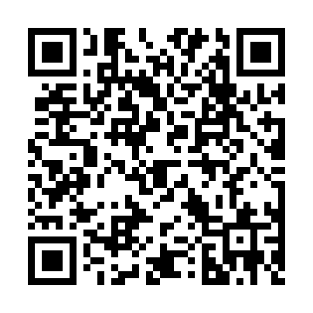 QR code for 203QLQ