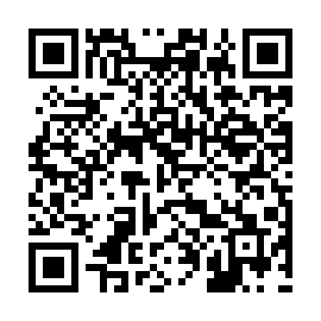 QR code for 205YQQ