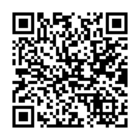 QR code for 208RSI