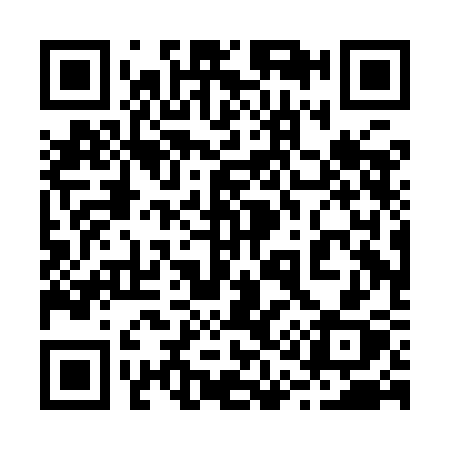 QR code for 210ICX