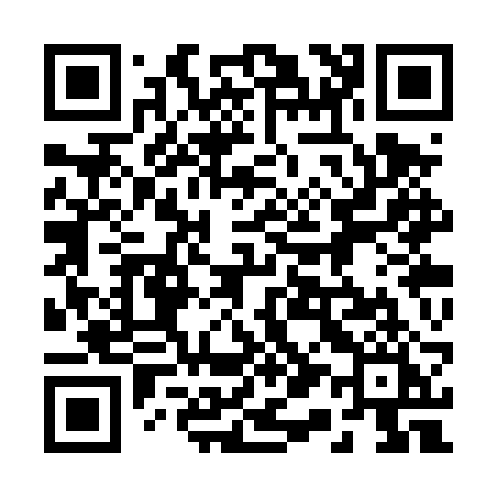 QR code for 213TRI