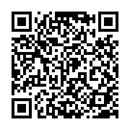 QR code for 216LPI
