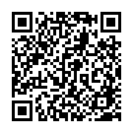 QR code for 217SDG