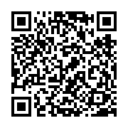 QR code for 219FFX