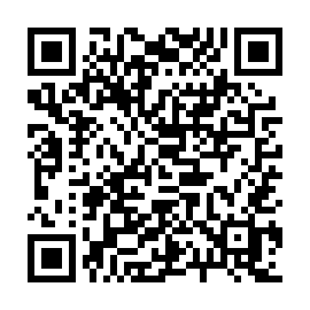 QR code for 219PUH