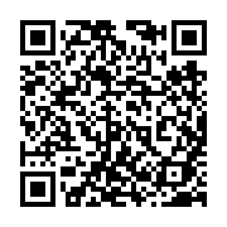 QR code for 220VXI