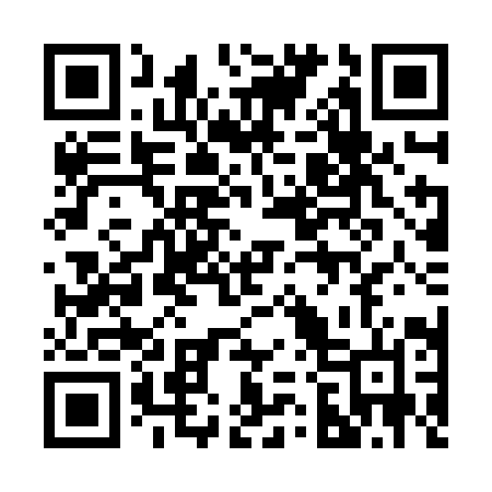 QR code for 221ZIN