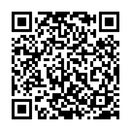 QR code for 225PSS